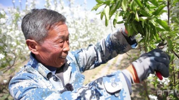 网上股票配资开户 高质量发展看中国｜一个村庄的生态逆袭与共富密码