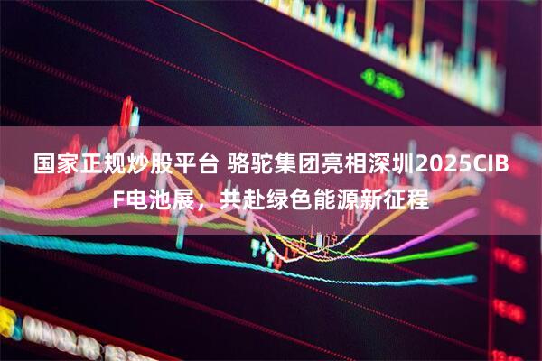 国家正规炒股平台 骆驼集团亮相深圳2025CIBF电池展，共赴绿色能源新征程