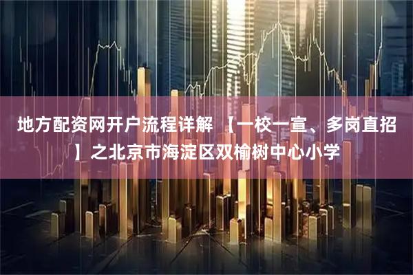 地方配资网开户流程详解 【一校一宣、多岗直招】之北京市海淀区双榆树中心小学